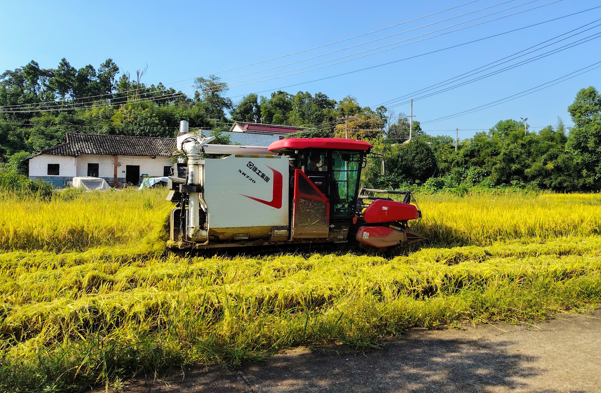 湘田稻浪黃 徐工XR720收割機(jī)馳騁湖南，助力中稻豐收